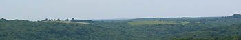 A view from the hills overlooking the forestry in Warren County